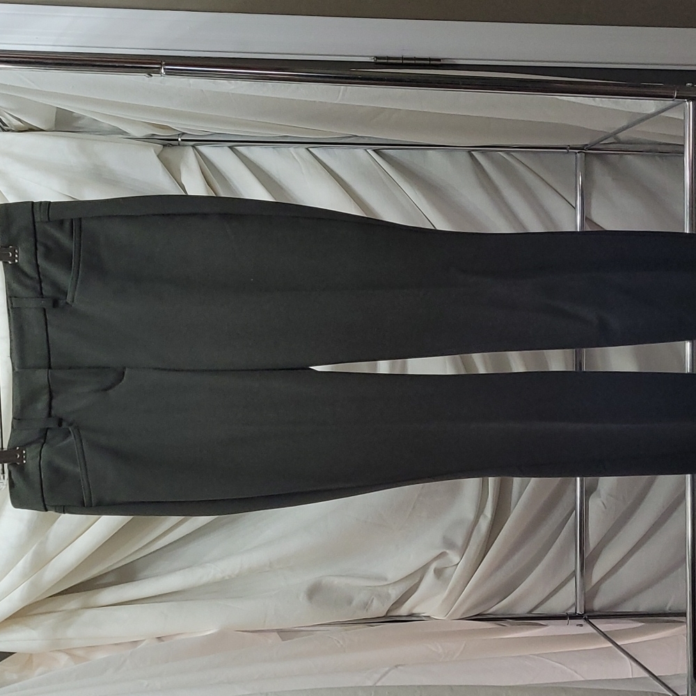 Express womens khaki dark green paints